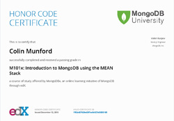 MongoDB using the MEAN stack