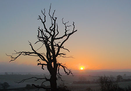 Sunrise at Great Ashby Park - Date Taken 29 Jan 2006