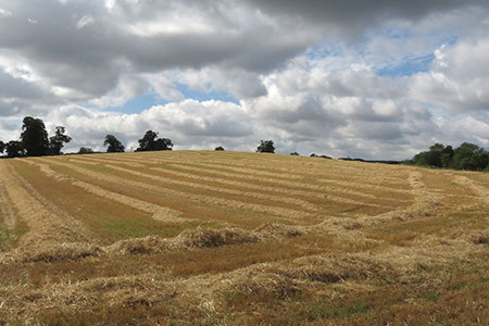 Hitchin Hill - Date Taken 31 Aug 2014
